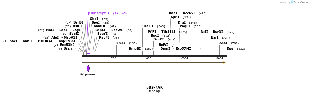 153125_map