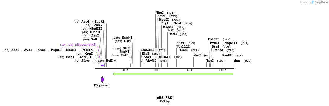 153126_map