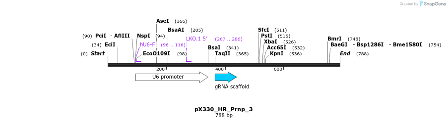 153130_map