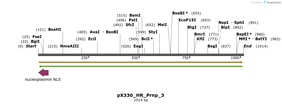 153135_map
