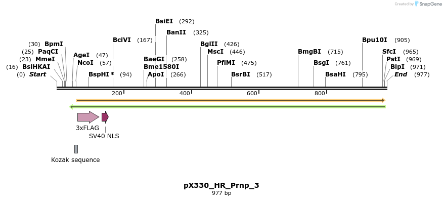 153137_map