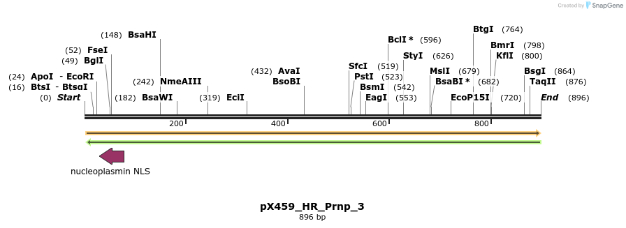 153142_map