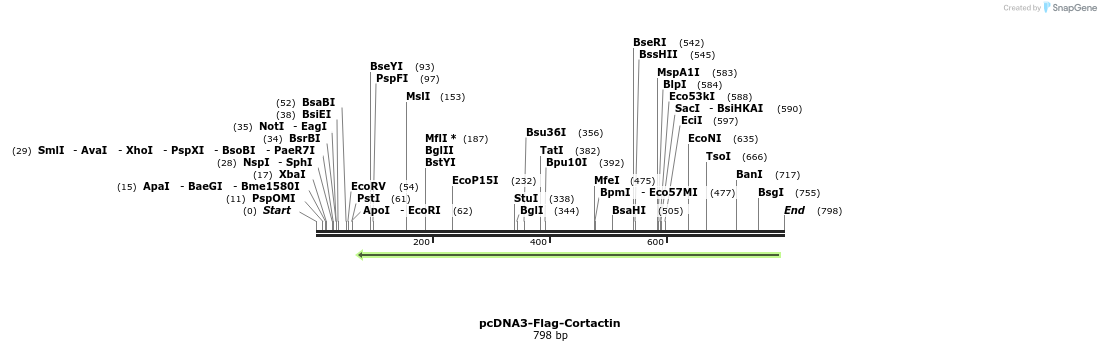 153143_map