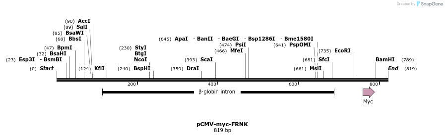 153145_map