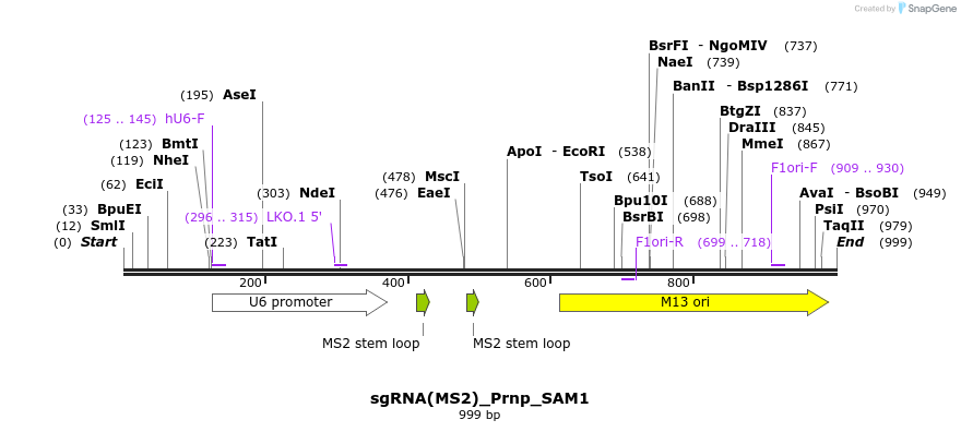153148_map