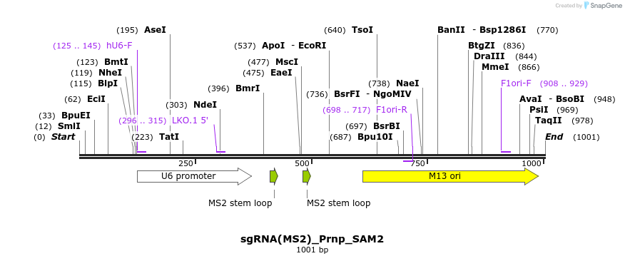 153154_map