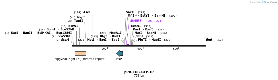 153157_map