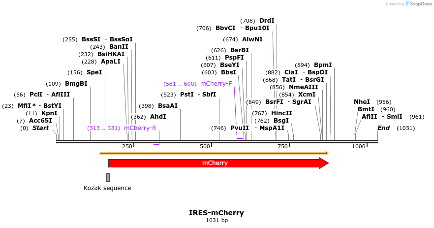 153164_map