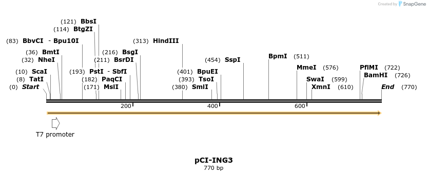 153171_map