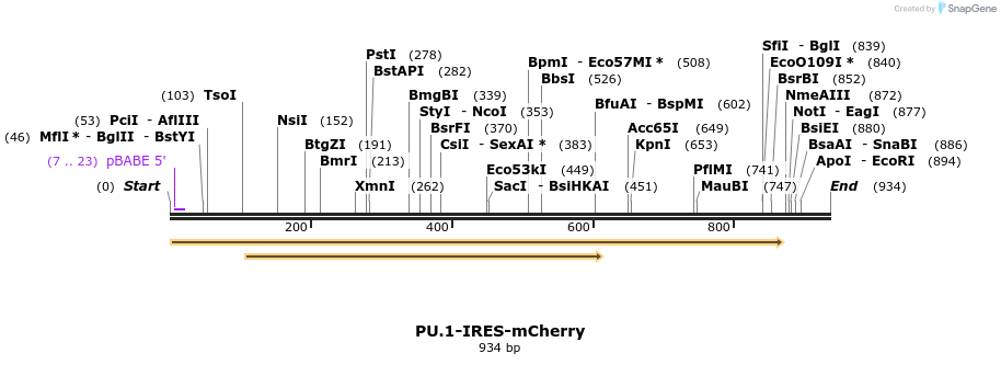 153172_map