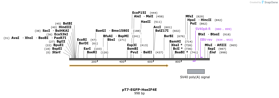 153178_map
