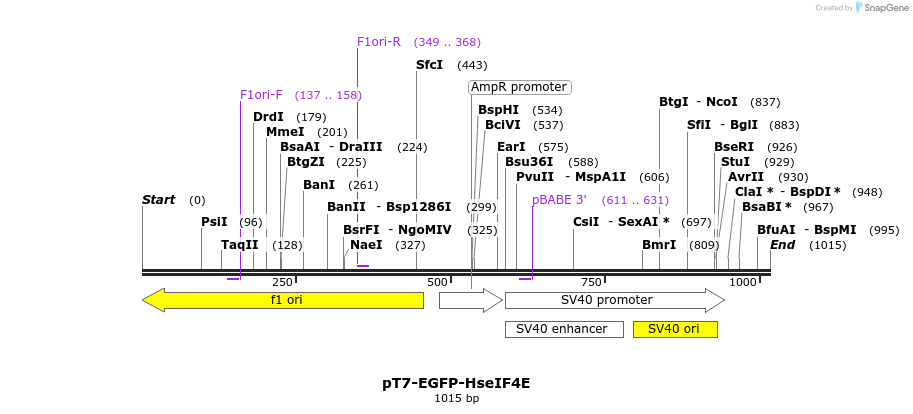 153180_map
