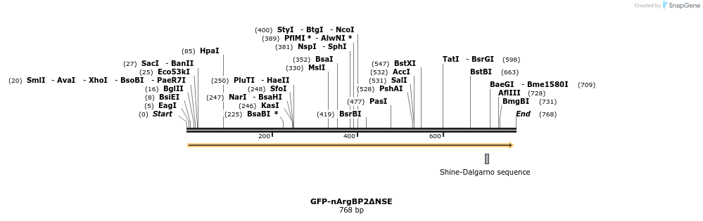 153201_map