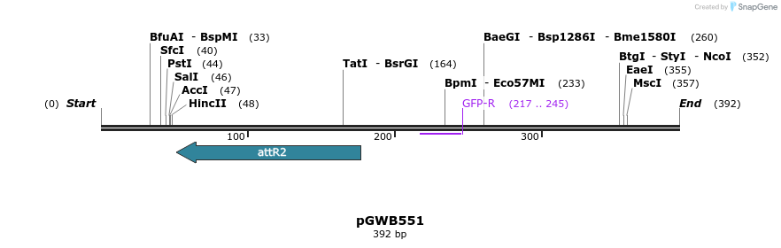 153208_map