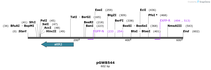 153215_map