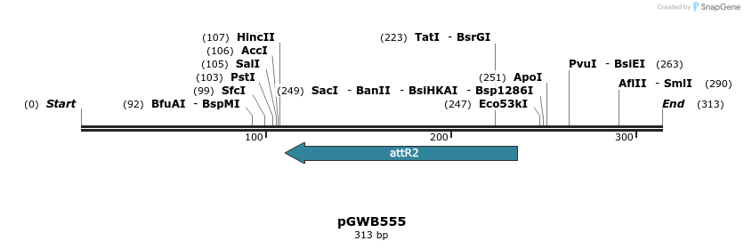 153219_map