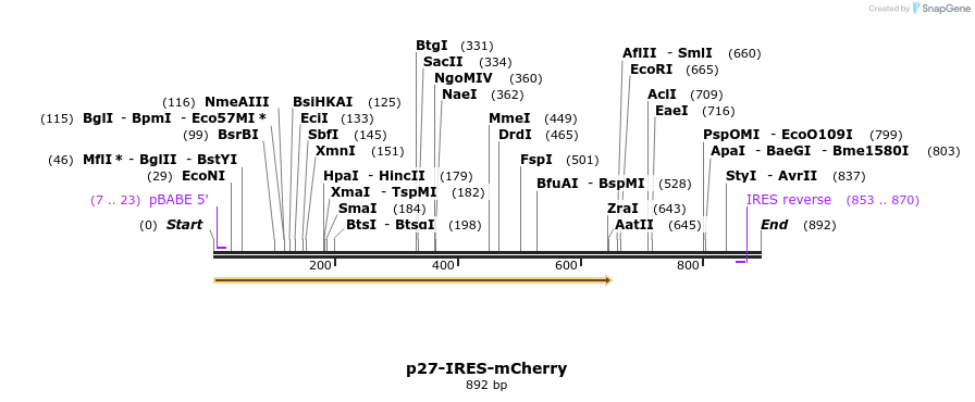 153226_map