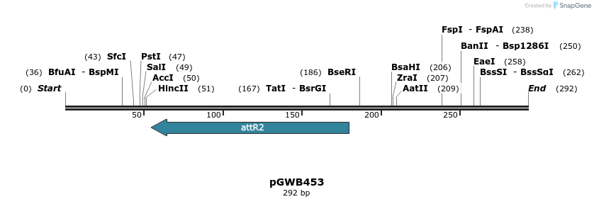 153228_map