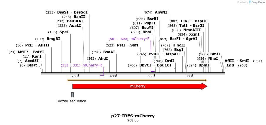 153231_map