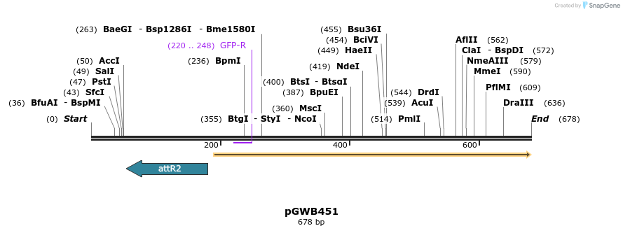 153234_map