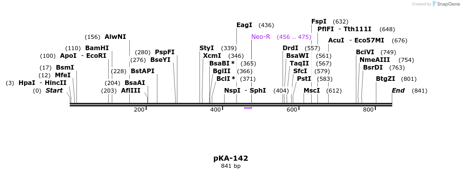 153236_map