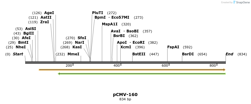 153240_map