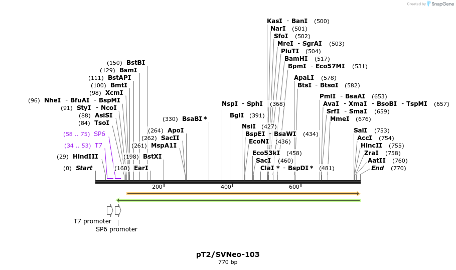 153243_map