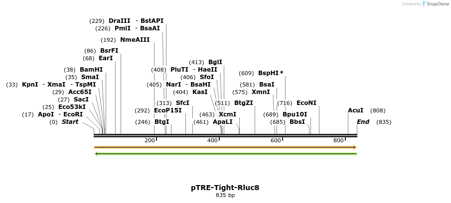 153249_map