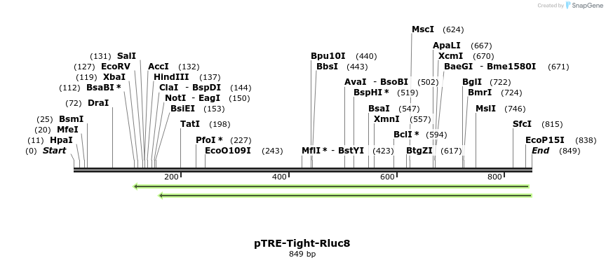 153250_map