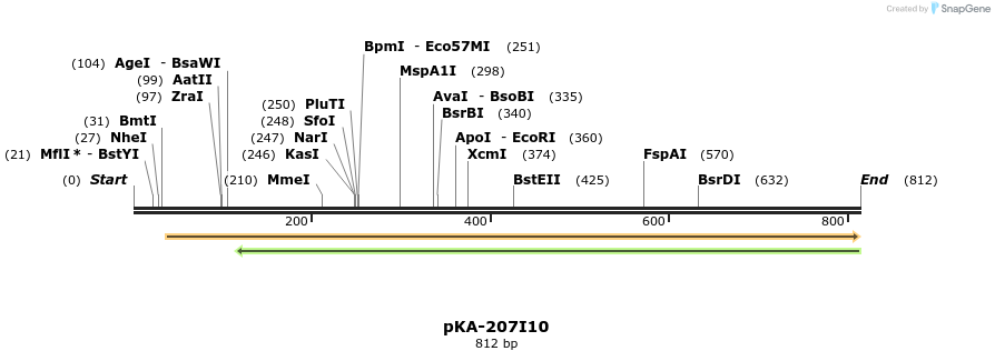 153252_map