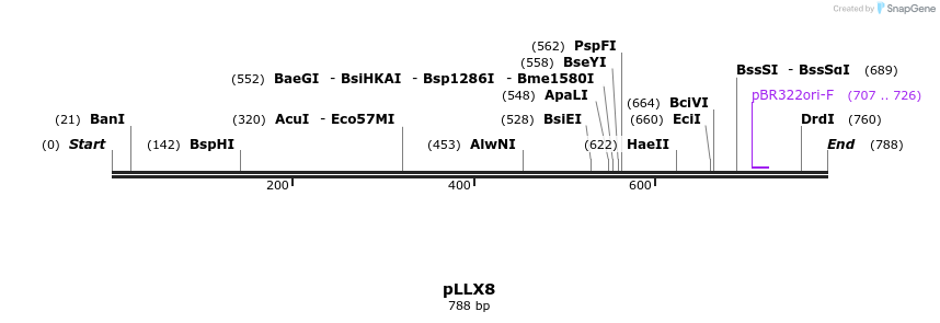153259_map
