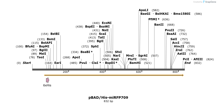 153266_map