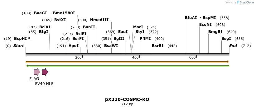 153267_map