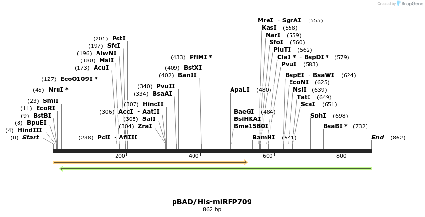 153268_map