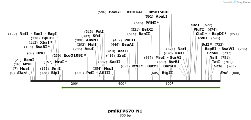 153273_map