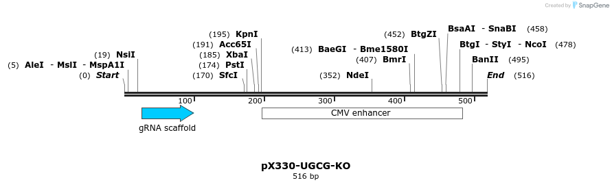 153276_map
