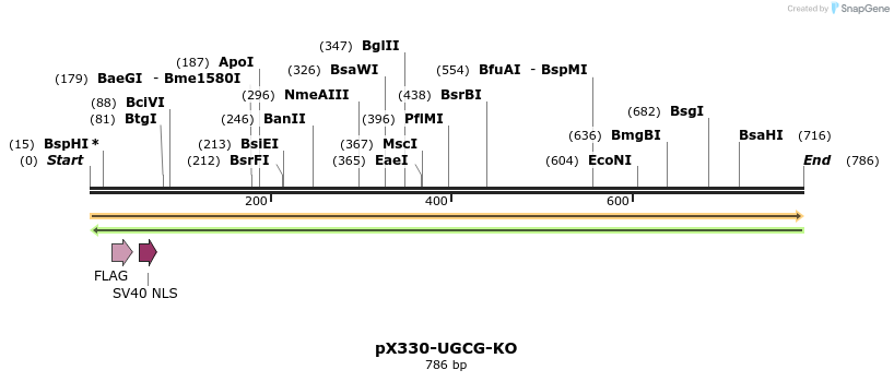 153277_map