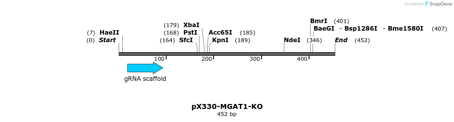 153287_map