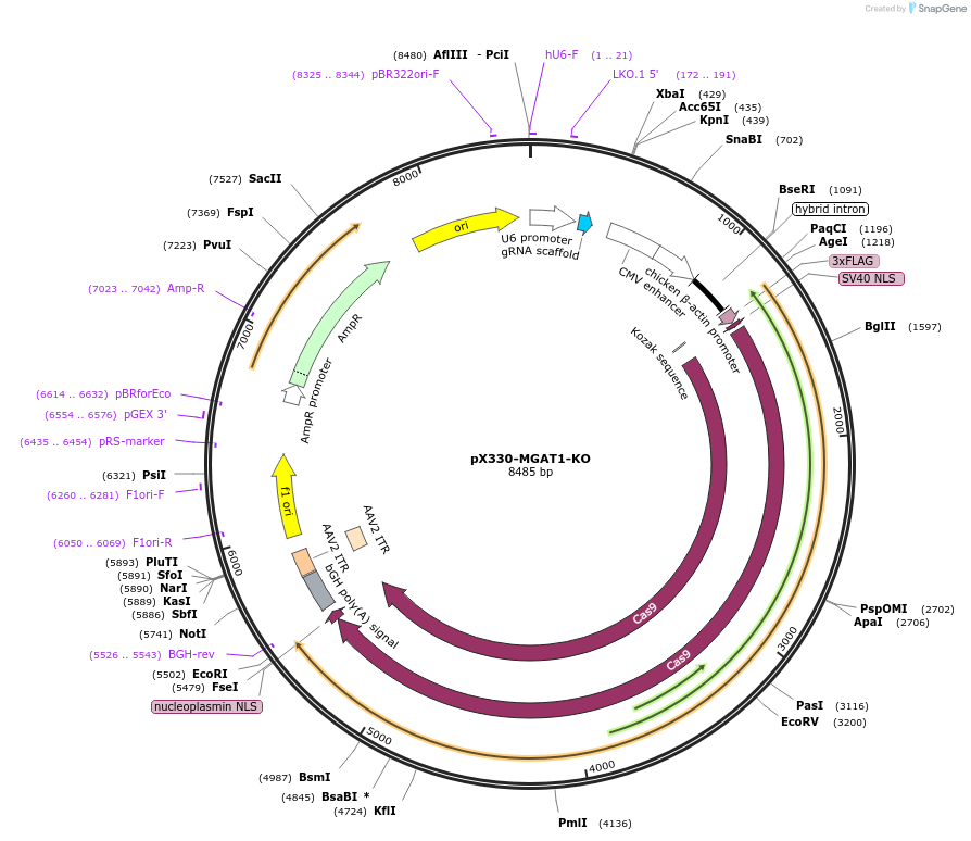 153290_map