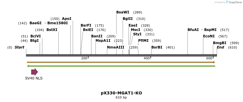 153293_map