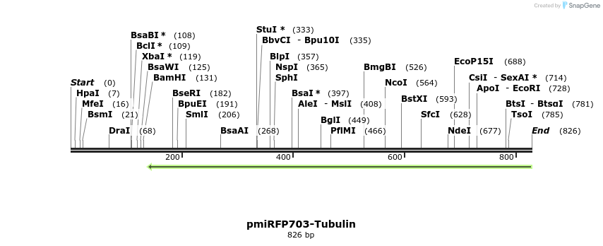 153297_map