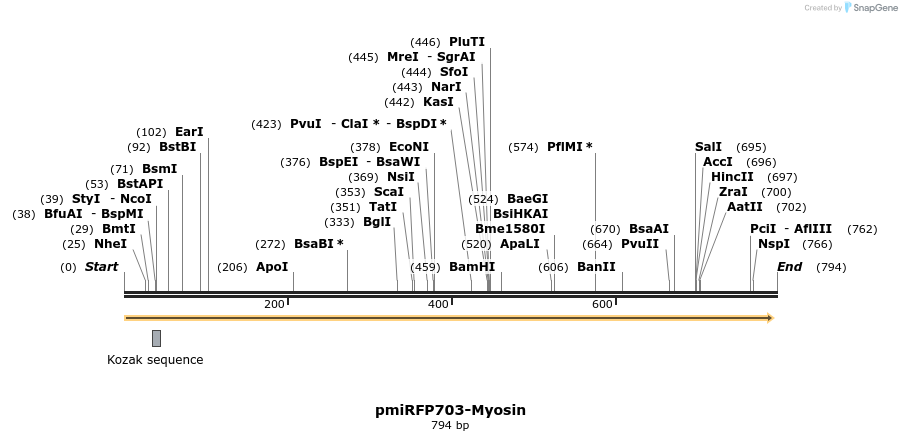 153308_map