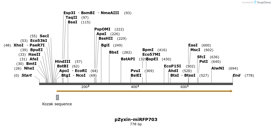 153326_map