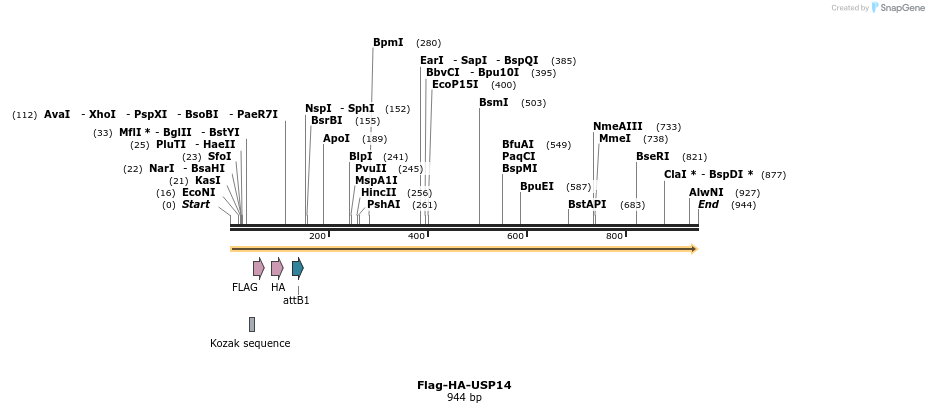 153351_map
