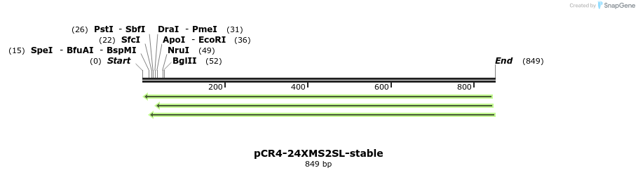 153358_map
