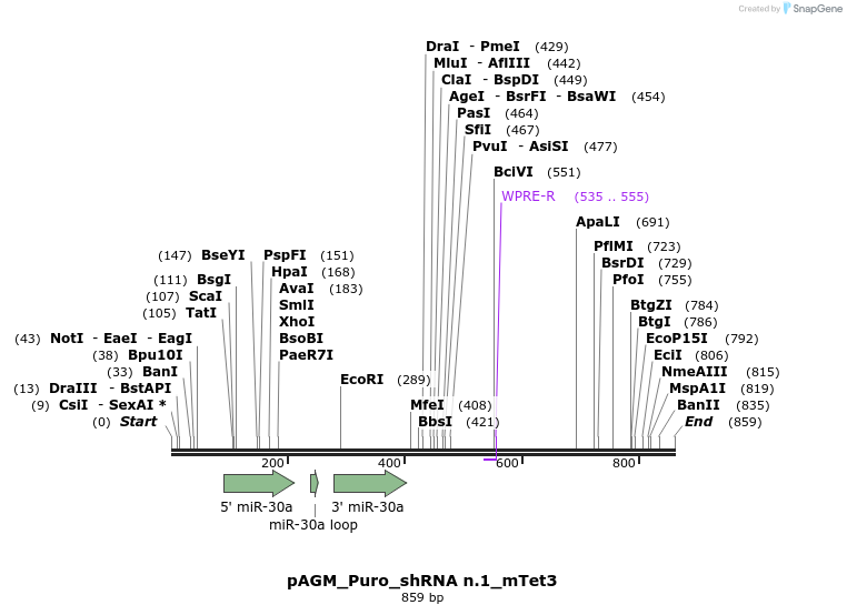 153360_map
