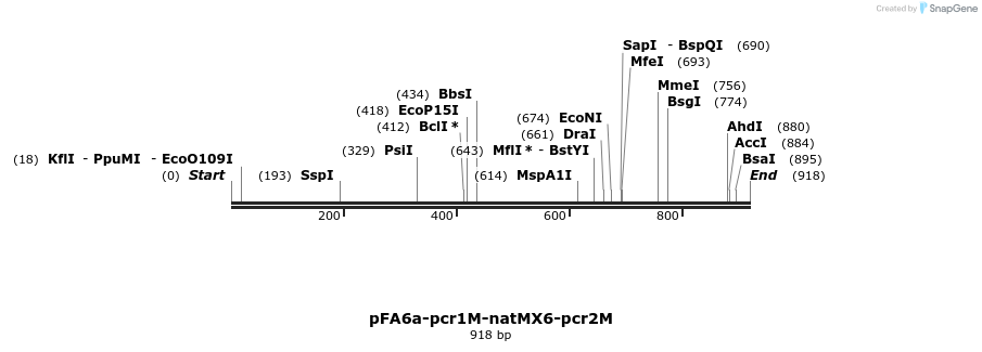 153366_map