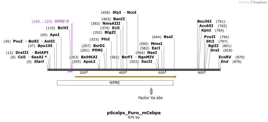 153368_map