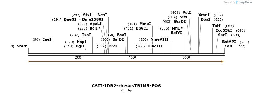 153370_map