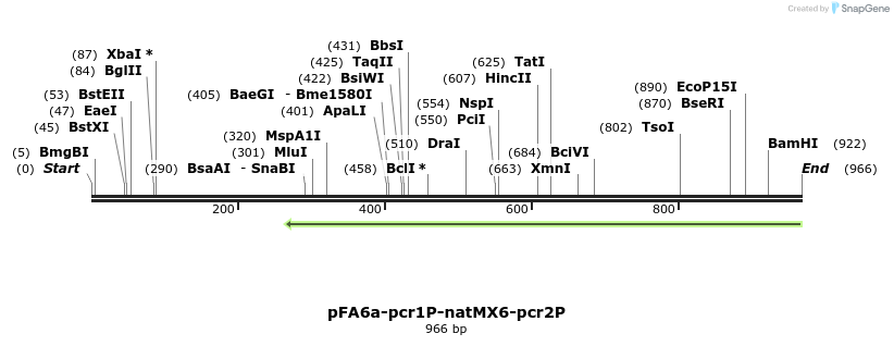 153372_map